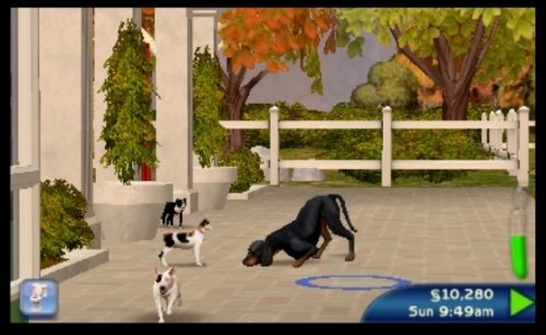 Sims 3: Питомцы