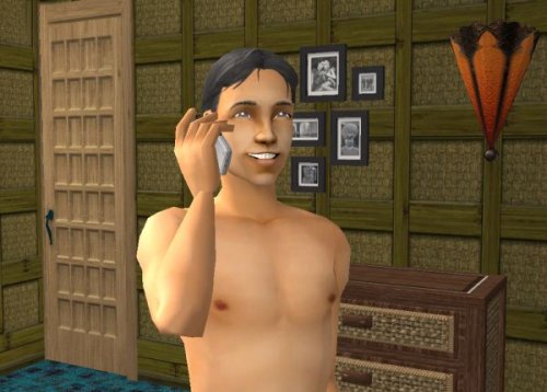 The Sims Житейские истории