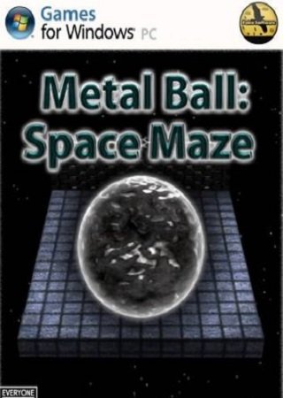 Metal Ball Space Maze