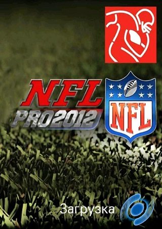 NFL Pro 2012