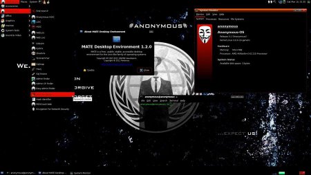 Anonymous Desktop OS v. 0.1