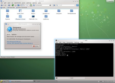 OpenSUSE 12.2 Milestone 3 [i686 + x86-64] (2xDVD)