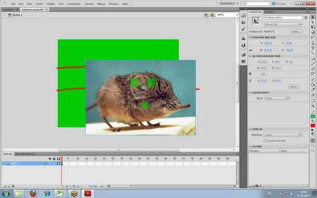 Adobe Flash CS5/CS4 - Уровень 1. Основы веб - анимации. Обучающий видеокурс