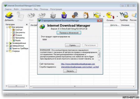 Internet Download Manager 6.12 Beta Build 8