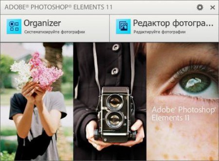 Adobe Photoshop Elements 11.0 Updated DVD