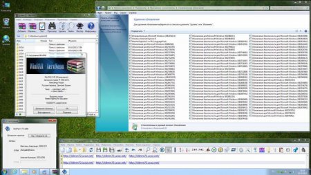 Windows 7 Professional SP1 IDimm Edition v.14.12