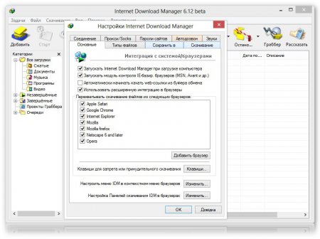 Internet Download Manager v6.12 Beta Build 9