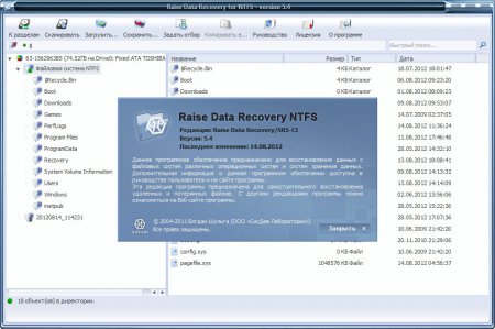 Raise Data Recovery for FAT / NTFS 5.4