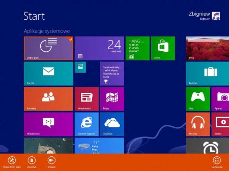 Windows 8 Professional Blue 6.3 Build 9364 (x86)
