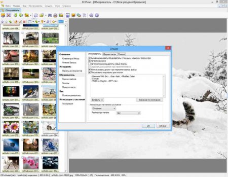 XnView 1.99.6 Extended