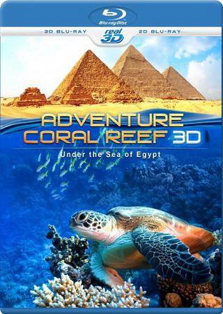 Коралловый риф 3D: Подводный мир Египта