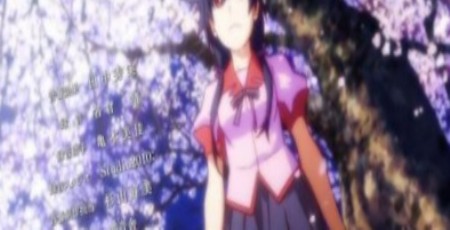 Истории цветов OVA (5 из 5)