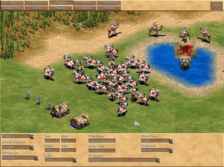 Age of Empires 2: The Age of Kings + The Conquerors 