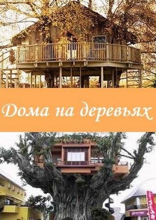 Дома на деревьях (6 сезон)